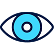 eye watch through cam remotely