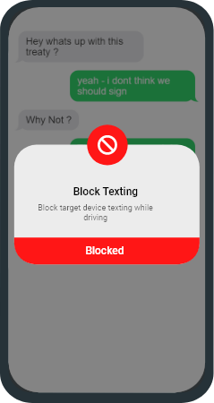 block texting while driving